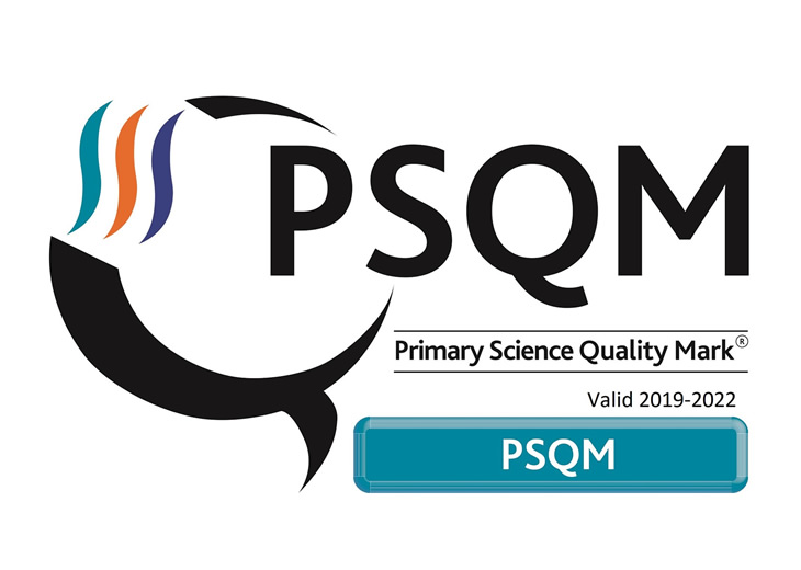PSQM 2019 logo